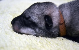 dsc_0147 dsc_0147