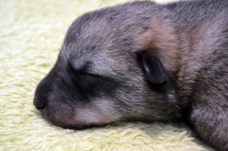 dsc_0164 dsc_0164
