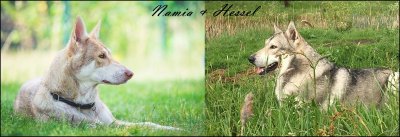 img_9189-horz img_9189-horz